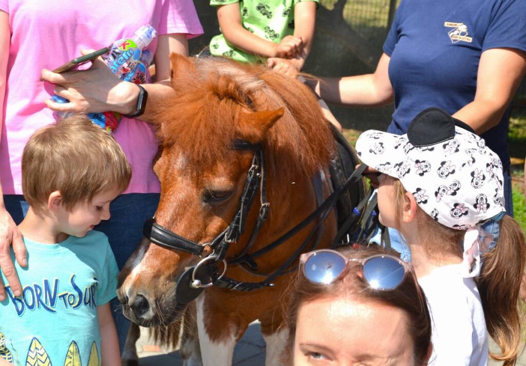 Rancho pod Olszyną Ciechocinek