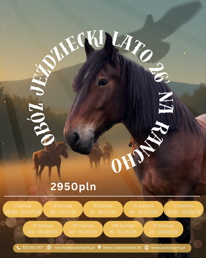 obóz letni jezddziecki 2026