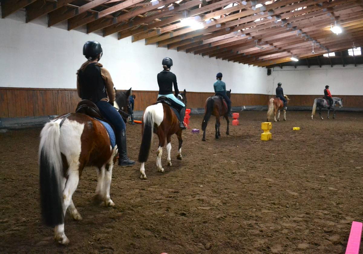 Konie idące w rzędzie podczas treningu w krytej ujeżdżalni Rancho pod Olszyną