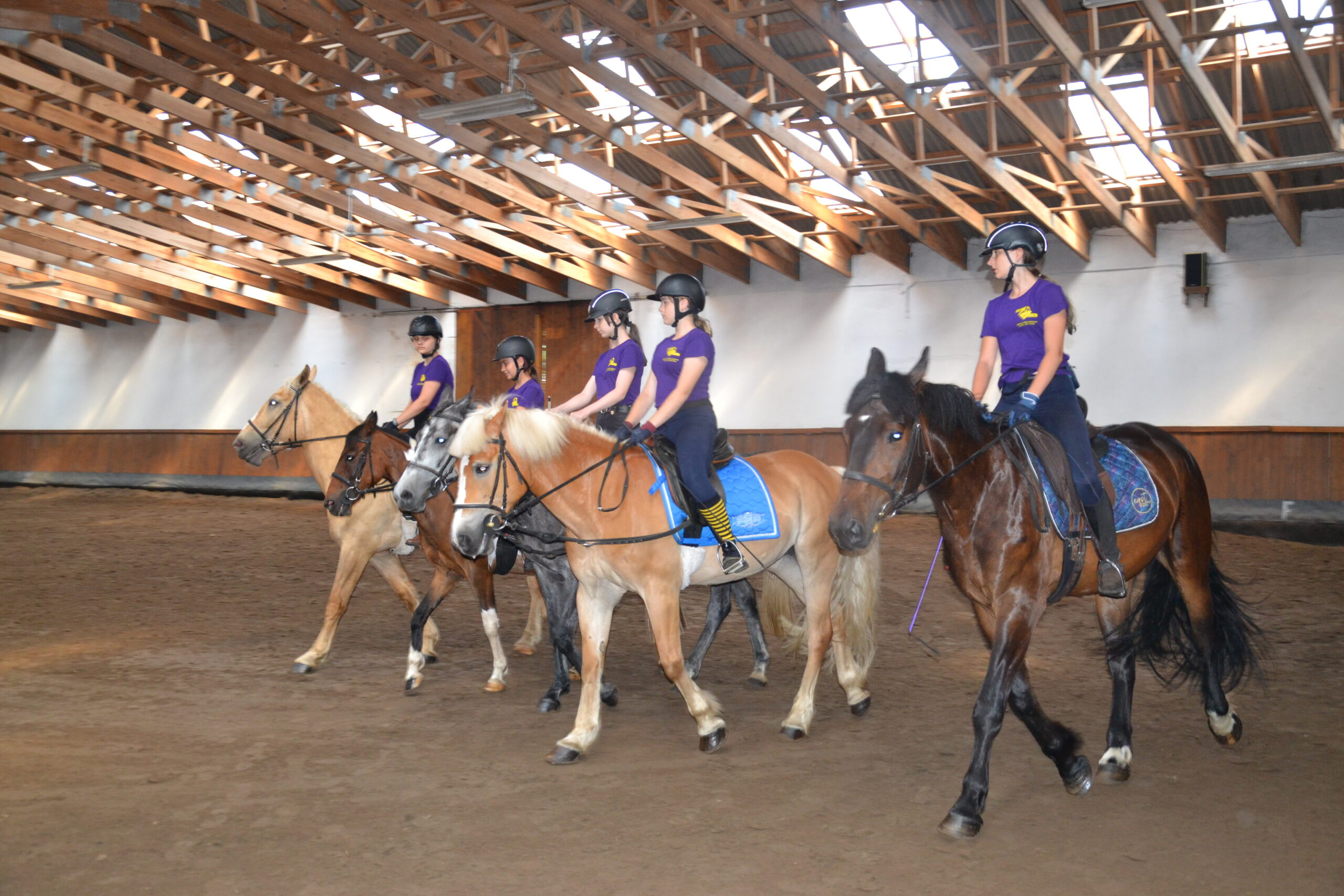Obozy jeździeckie 2026 – uczestnicy nocują w pensjonacie Rancho pod Olszyną