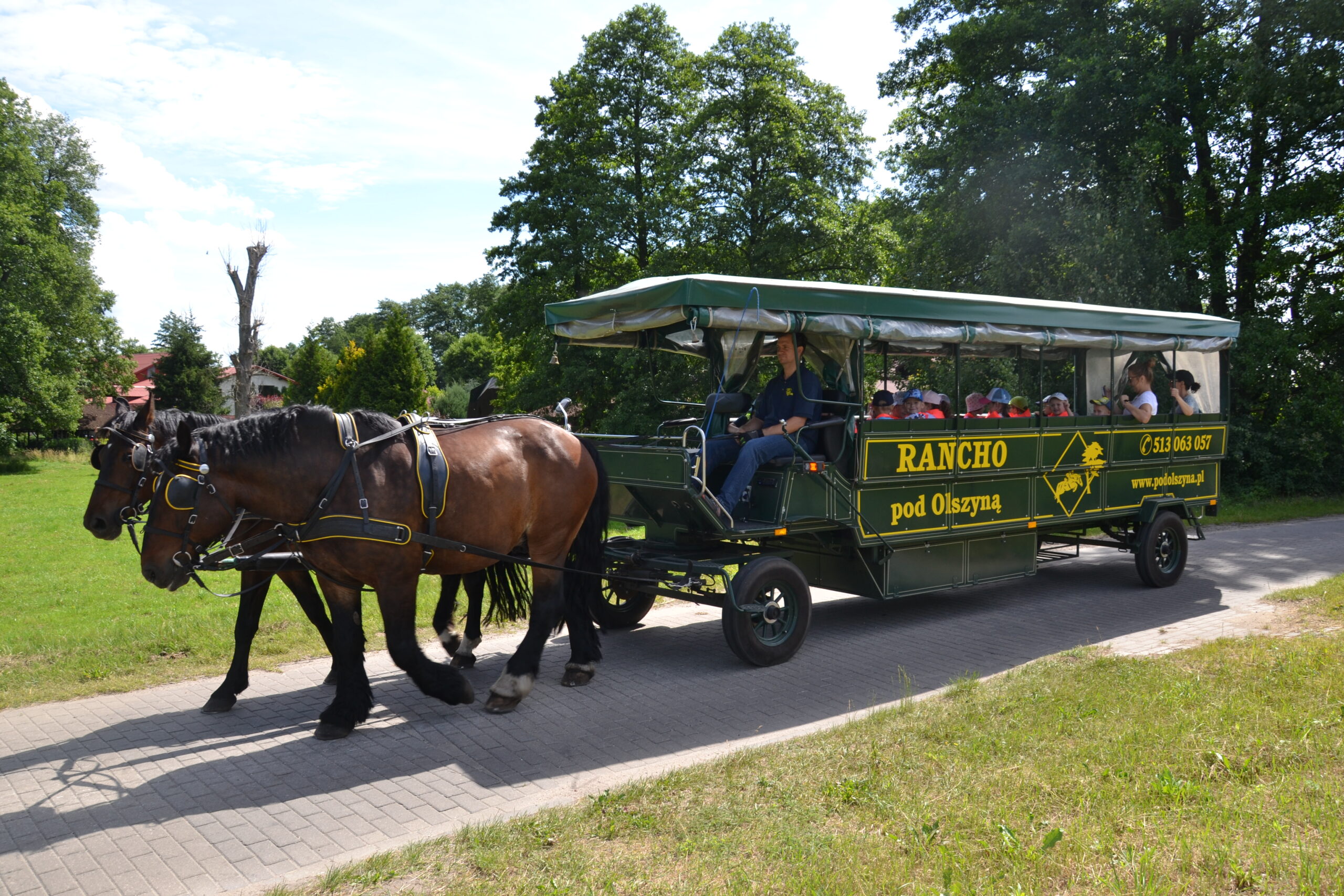 Tramwaj konny Rancho pod Olszyną – przejazd przez lasy