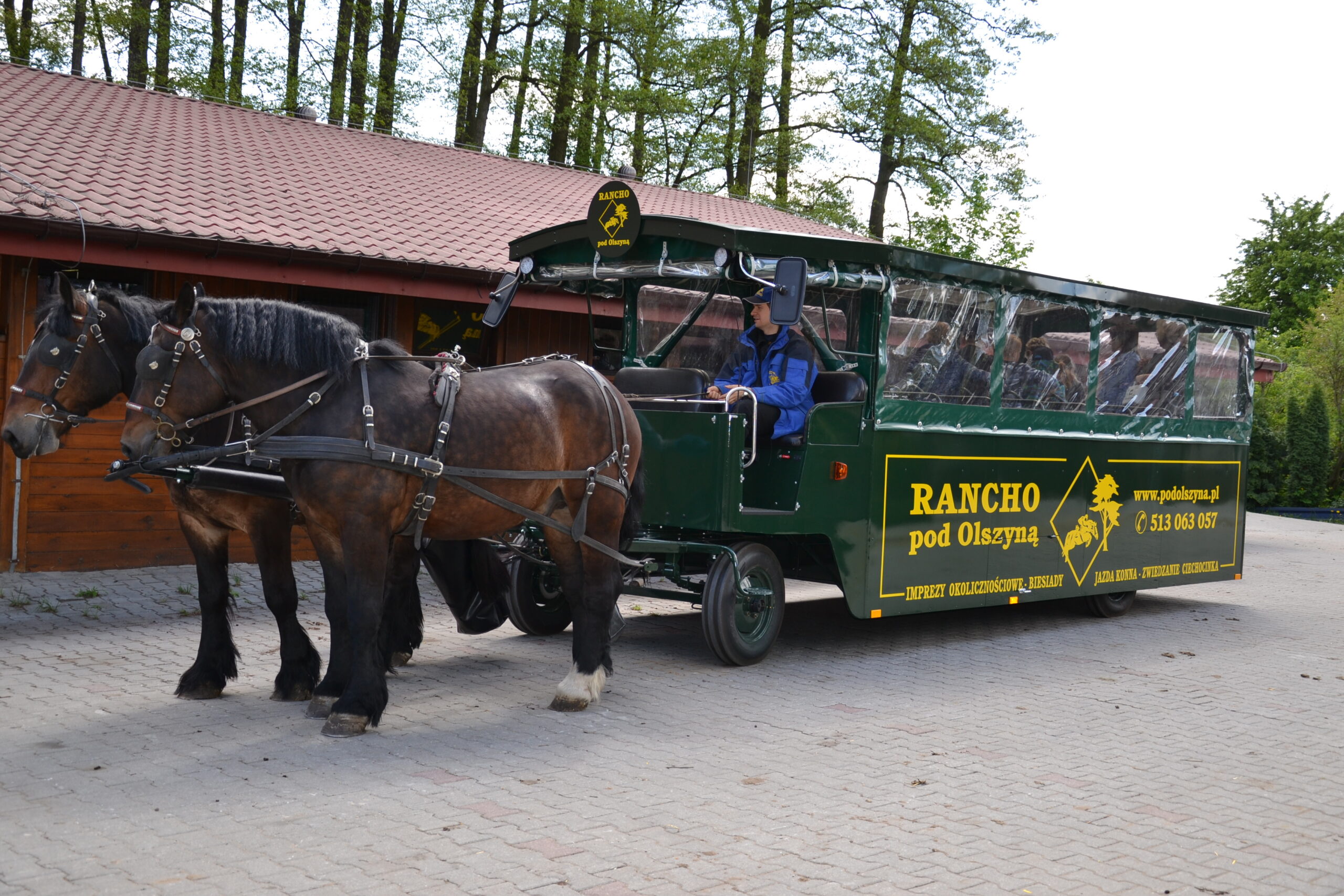 Tramwaj konny Rancho pod Olszyną – wycieczka w terenie