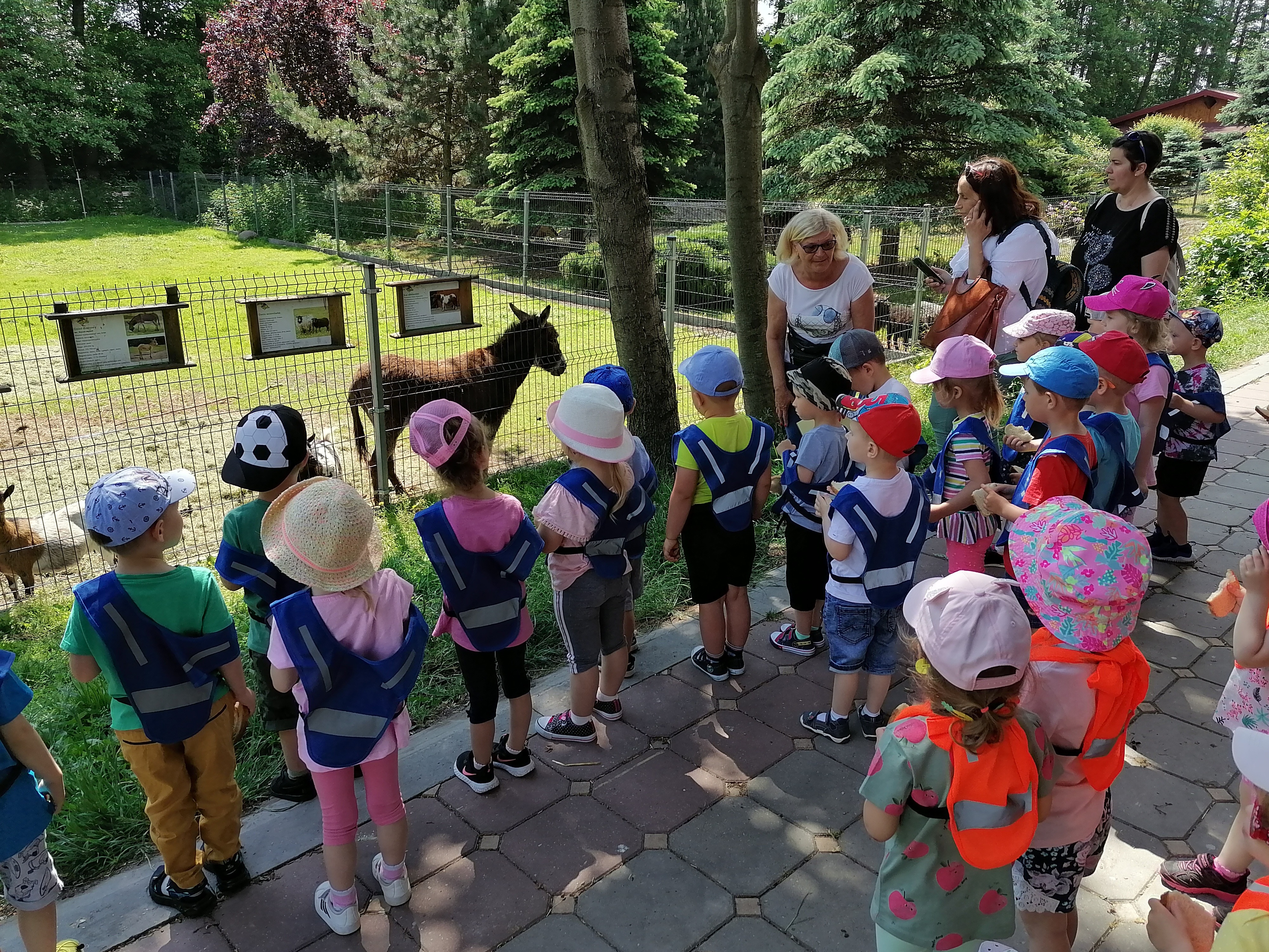 Mini-zoo z przedszkolakami