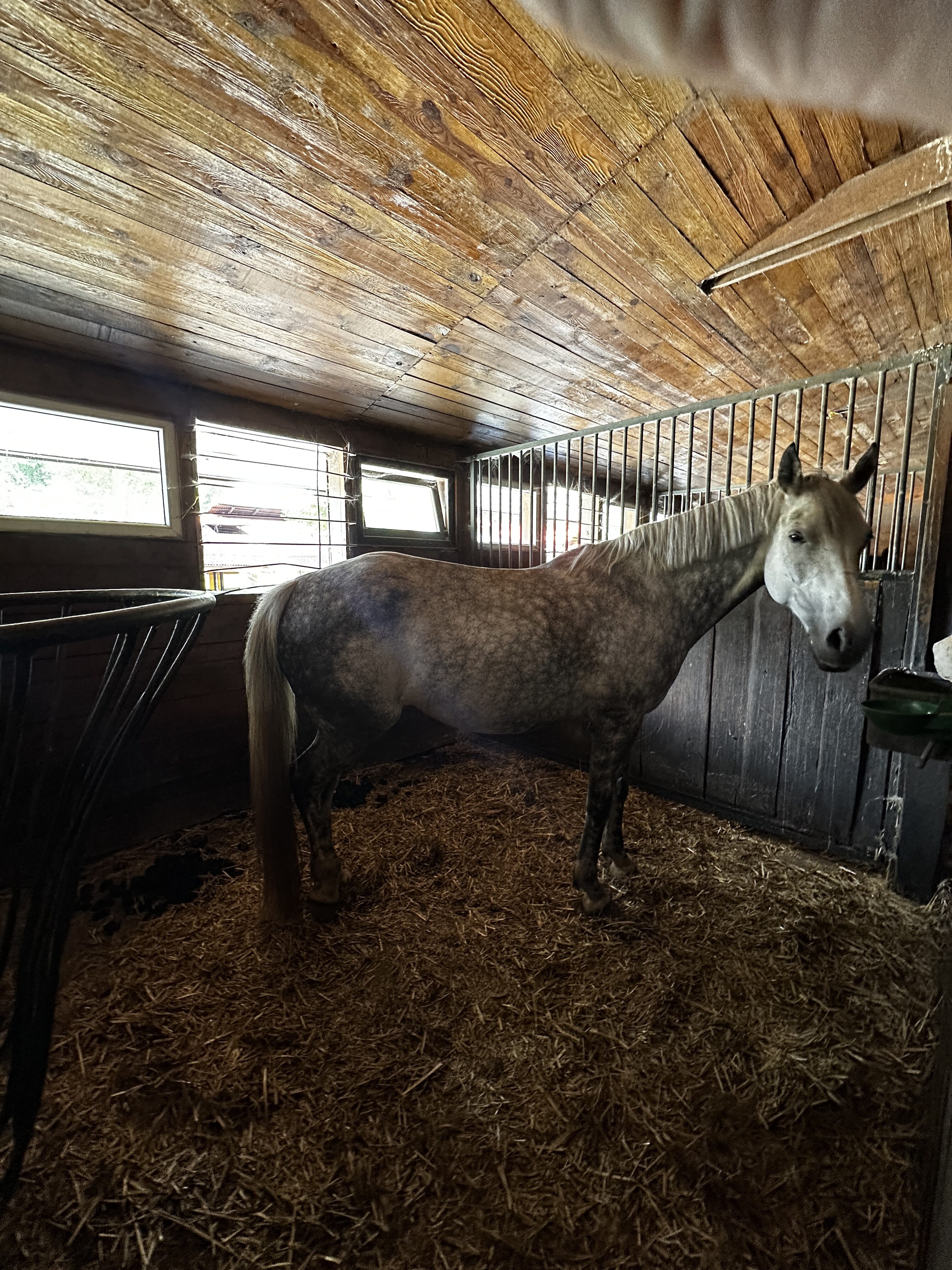 Boksy stajni Rancho pod Olszyną