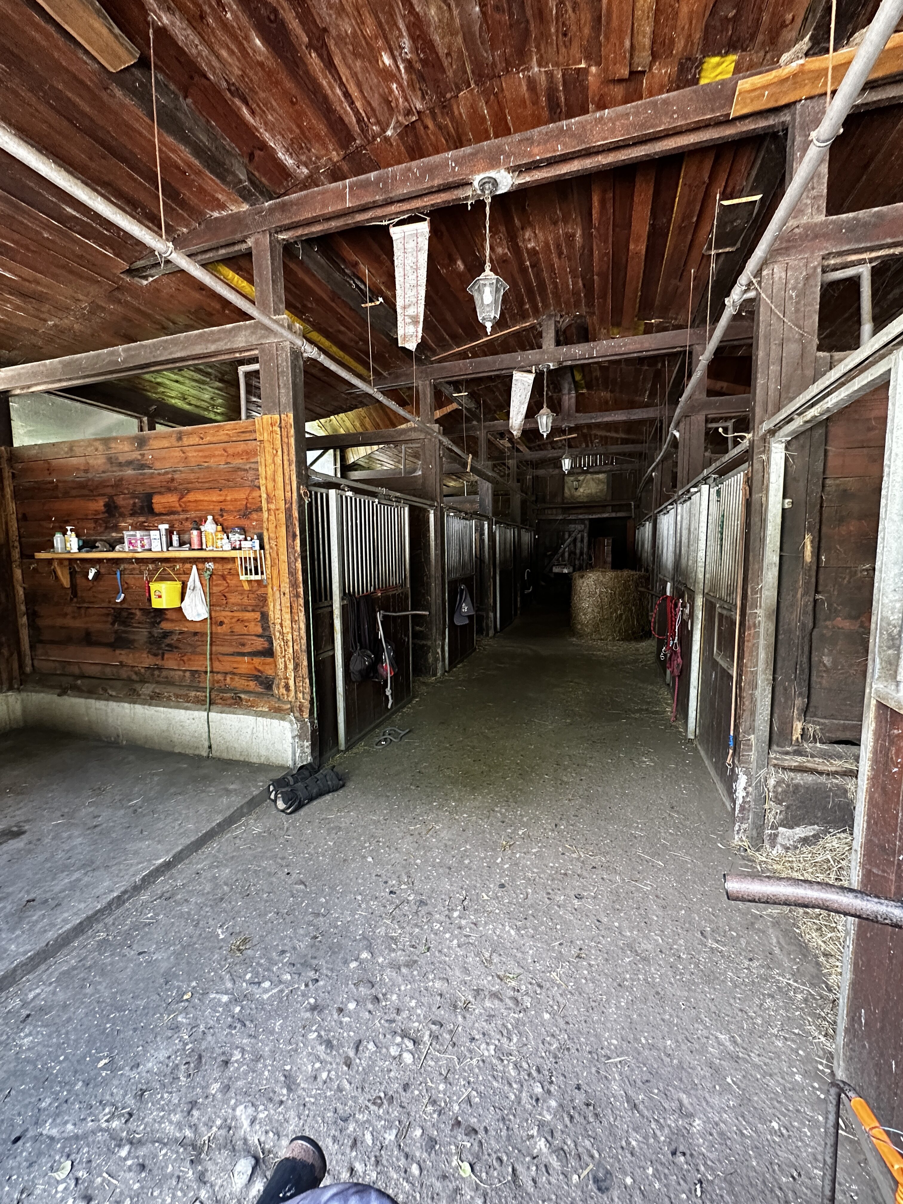 Wnętrze stajni sportowej Rancho pod Olszyną