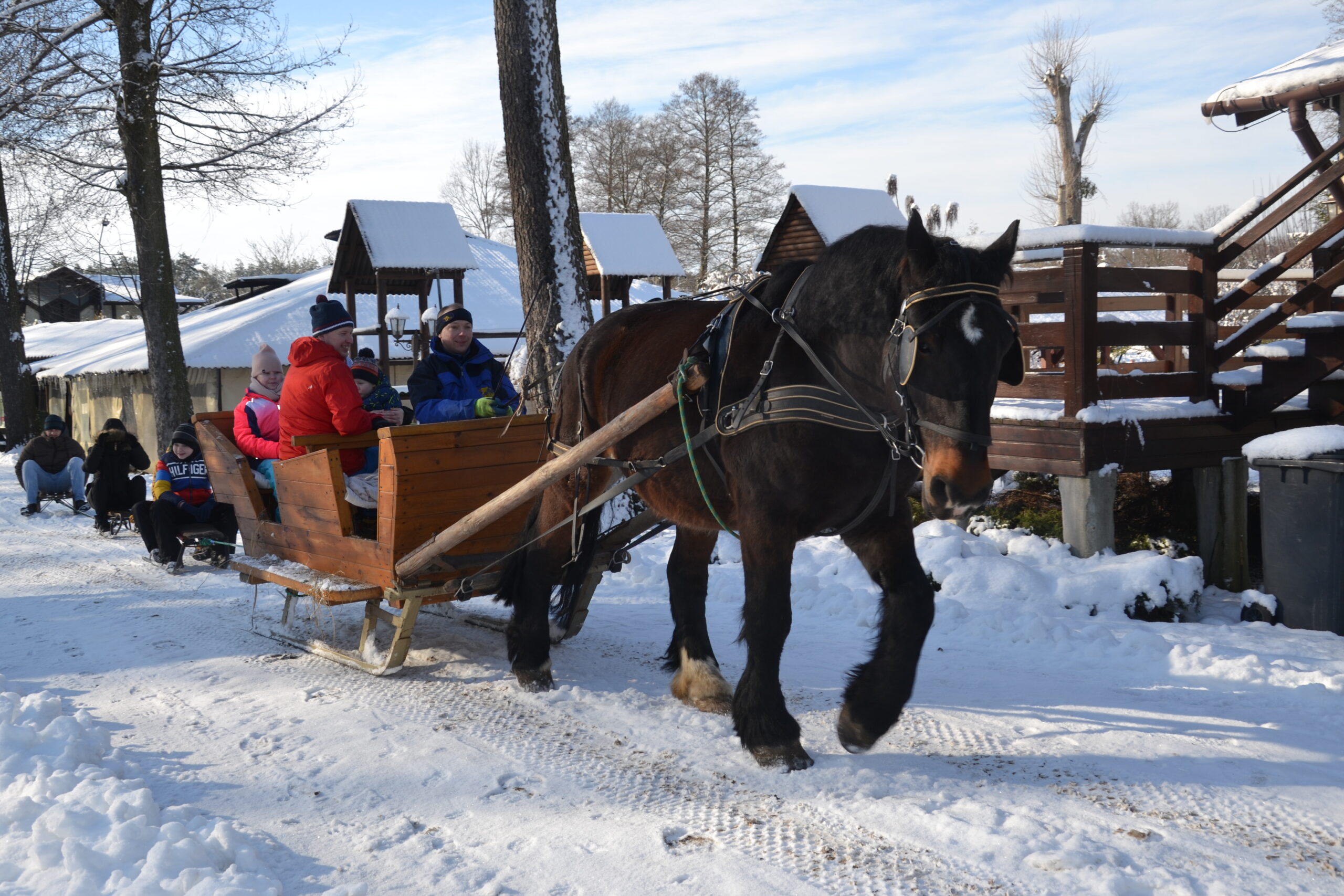 Jazda konna w hali – zimowe obozy jeździeckie Rancho pod Olszyną Ciechocinek