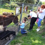 Rancho pod Olszyną Ciechocinek