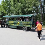 Rancho pod Olszyną Ciechocinek