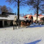 Rancho pod Olszyną Ciechocinek
