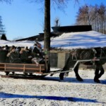 dav Rancho pod Olszyną Ciechocinek