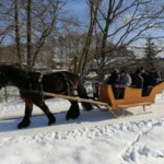 Rancho pod Olszyną Ciechocinek