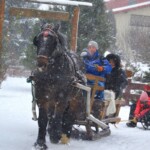 Rancho pod Olszyną Ciechocinek