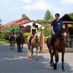 Rancho pod Olszyną Ciechocinek