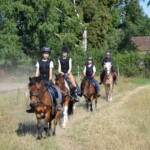 Rancho pod Olszyną Ciechocinek