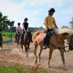 Rancho pod Olszyną Ciechocinek