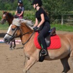 Rancho pod Olszyną Ciechocinek