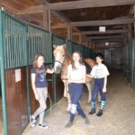 Rancho pod Olszyną Ciechocinek