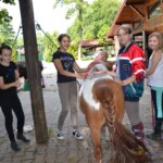 Rancho pod Olszyną Ciechocinek