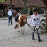 Rancho pod Olszyną Ciechocinek