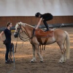 Rancho pod Olszyną Ciechocinek