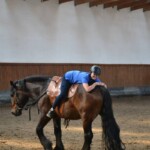 Rancho pod Olszyną Ciechocinek
