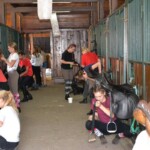 Rancho pod Olszyną Ciechocinek