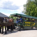 Rancho pod Olszyną Ciechocinek