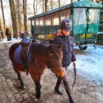 Rancho pod Olszyną Ciechocinek