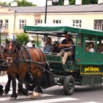 Rancho pod Olszyną Ciechocinek