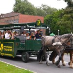 Rancho pod Olszyną Ciechocinek