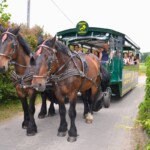 Rancho pod Olszyną Ciechocinek