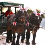 Rancho pod Olszyną Ciechocinek