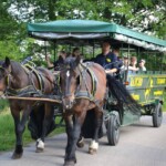 Rancho pod Olszyną Ciechocinek