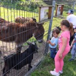 Rancho pod Olszyną Ciechocinek