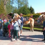 Rancho pod Olszyną Ciechocinek