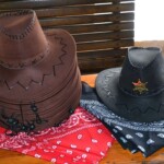 Rancho pod Olszyną Ciechocinek