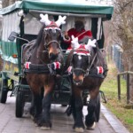 Rancho pod Olszyną Ciechocinek