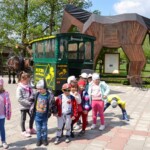 Rancho pod Olszyną Ciechocinek