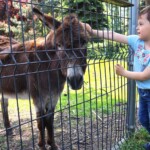 Rancho pod Olszyną Ciechocinek