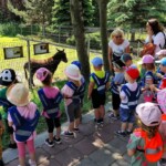 Rancho pod Olszyną Ciechocinek