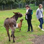 Rancho pod Olszyną Ciechocinek