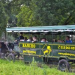 Rancho pod Olszyną Ciechocinek