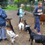 Rancho pod Olszyną Ciechocinek