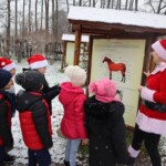 Rancho pod Olszyną Ciechocinek