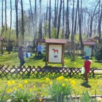 Rancho pod Olszyną Ciechocinek