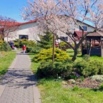 Rancho pod Olszyną Ciechocinek