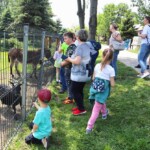 Rancho pod Olszyną Ciechocinek
