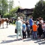 Rancho pod Olszyną Ciechocinek