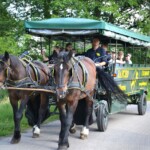 Rancho pod Olszyną Ciechocinek