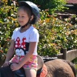 Rancho pod Olszyną Ciechocinek